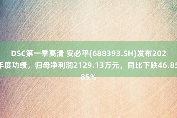 DSC第一季高清 安必平(688393.SH)发布2024年度功绩，归母净利润2129.13万元，同比下跌46.85%