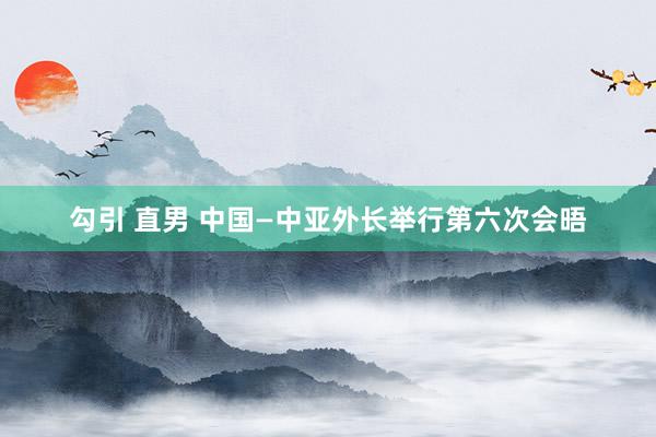 勾引 直男 中国—中亚外长举行第六次会晤